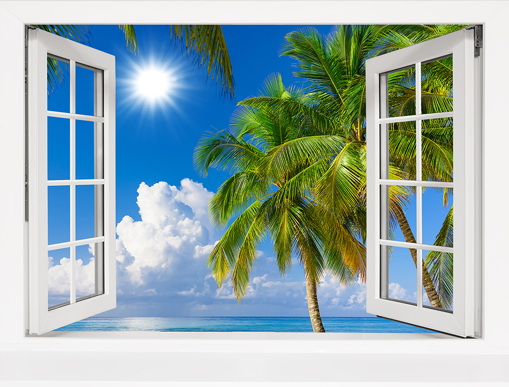 View From An Open Window To A Tropical Landscape.